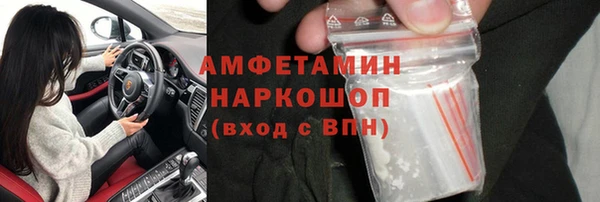 индика Алексин