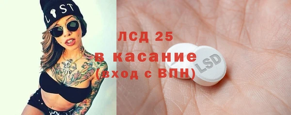 индика Алексин