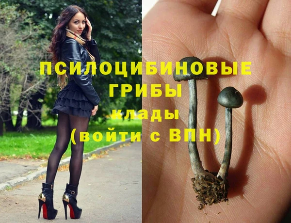 кокаин премиум Алзамай