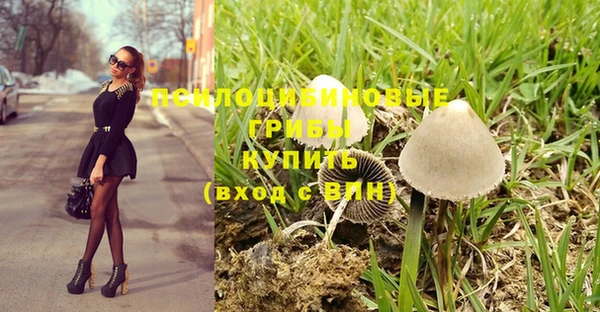 индика Алексин
