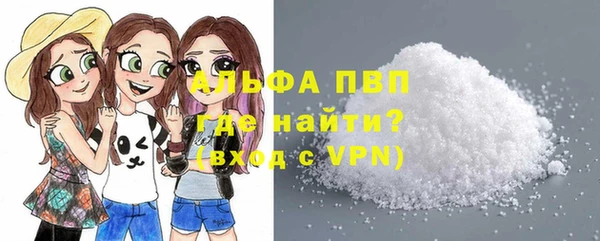 прущие грибы Абаза