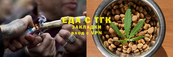 прущие грибы Абаза