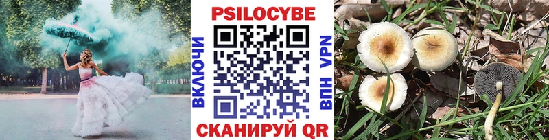 MEGA рабочий сайт Чулым Галлюциногенные грибы ЛСД
